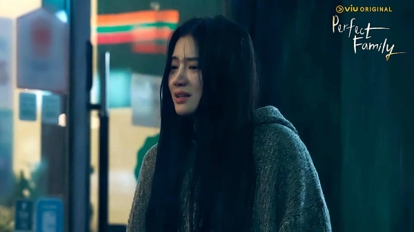 nonton streaming download drakorindo perfect family sub indo viu original