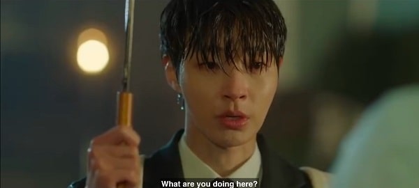 nonton streaming download drakorindo family by choice sub indo viu original