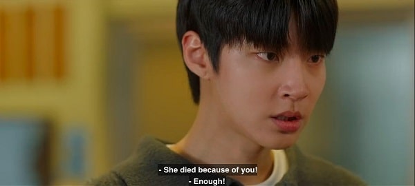 nonton streaming download drakorindo family by choice sub indo viu original