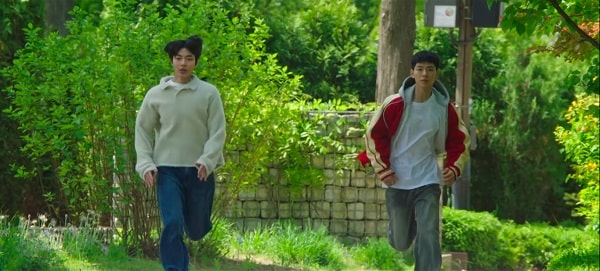 nonton streaming download drakorindo family by choice sub indo viu original