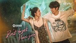 nonton streaming download drama china don't forget i love you sub indo viu