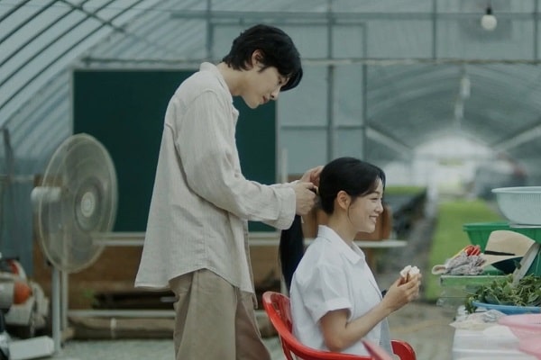 nonton streaming download drakorindo brewing love sub indo viu original