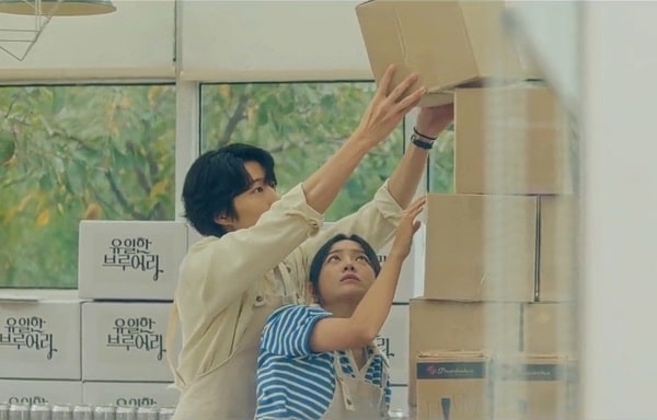 nonton streaming download drakorindo brewing love sub indo viu original