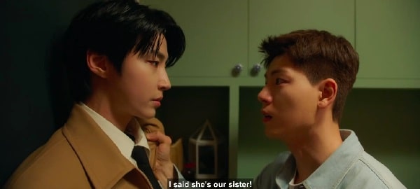 nonton streaming download drakorindo family by choice sub indo viu original