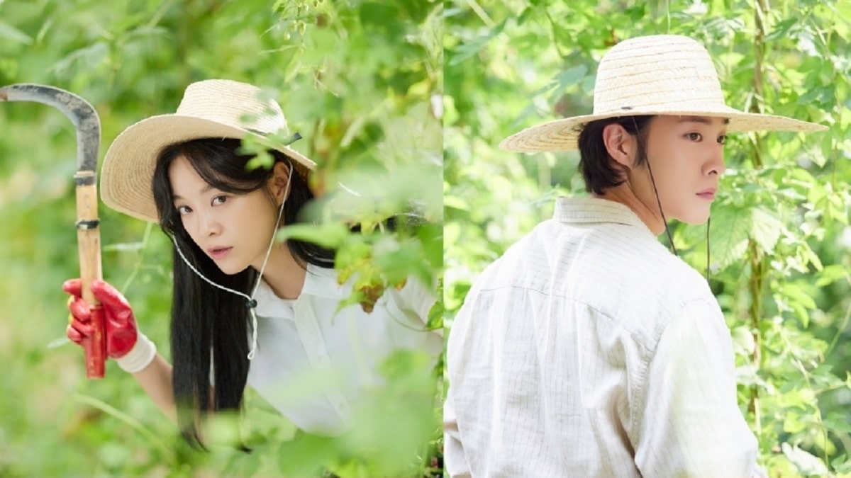 nonton streaming download drakorindo brewing love sub indo viu original