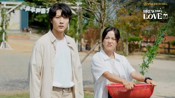nonton streaming download drakorindo brewing love sub indo viu original