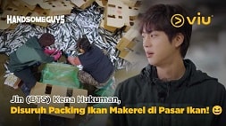 nonton streaming download drakorindo handsome guys sub indo viu