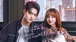 nonton streaming download drama china falling into your smile sub indo viu