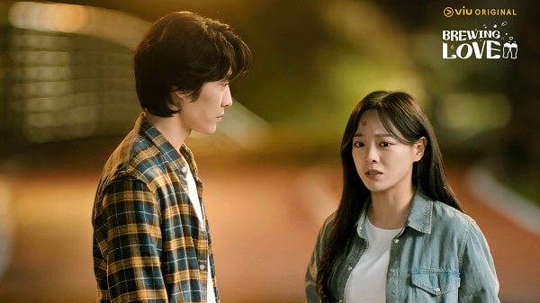 nonton streaming download drakorindo brewing love sub indo viu original