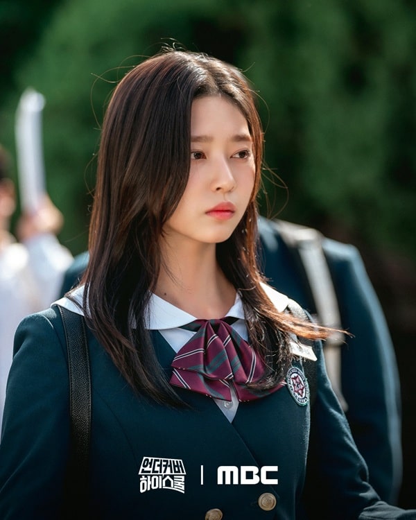 nonton streaming download drakorindo undercover high school sub indo viu original