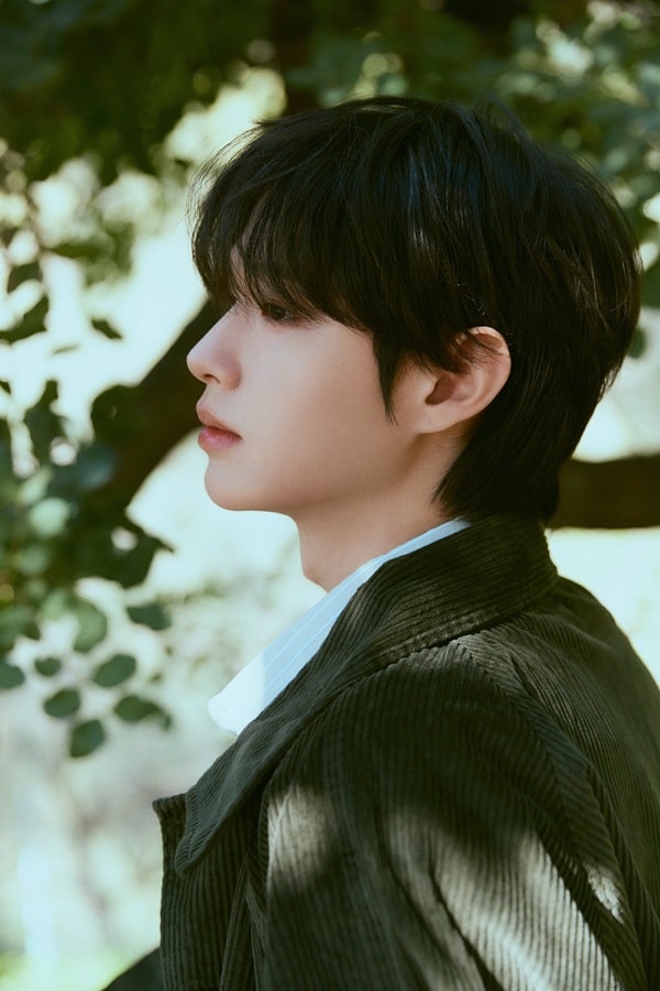 nonton streaming download drakorindo project 7 sub indo viu