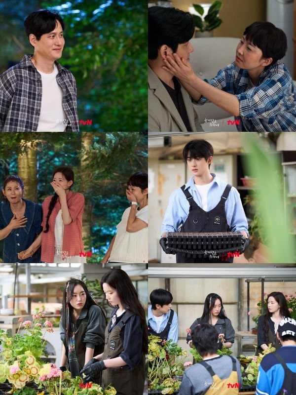 nonton streaming download drakorindo love, take two sub indo viu