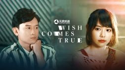 nonton streaming download film hong kong wish comes true sub indo viu