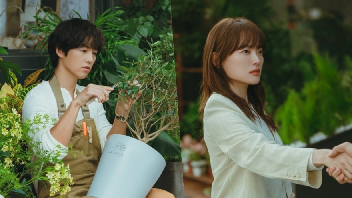 nonton streaming download drakorindo my youth sub indo viu original