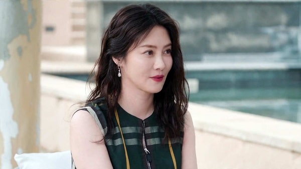 nonton streaming download drama china love's ambition sub indo viu