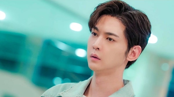 nonton streaming download drama china love's ambition sub indo viu