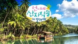 nonton streaming download drakorindo fresh of the sea in calape sub indo viu