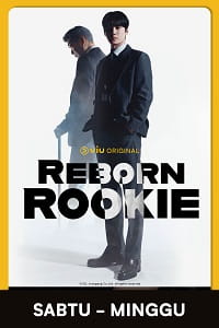 nonton streaming download drakorindo reborn rookie sub indo viu original