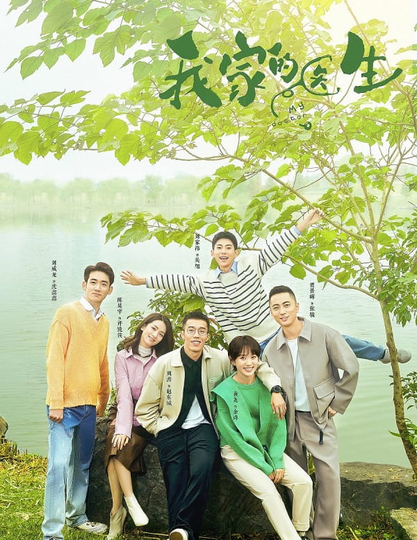 nonton streaming download drama china my doctor sub indo viu
