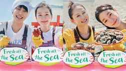 nonton streaming download drakorindo fresh off the sea 3 sub indo viu