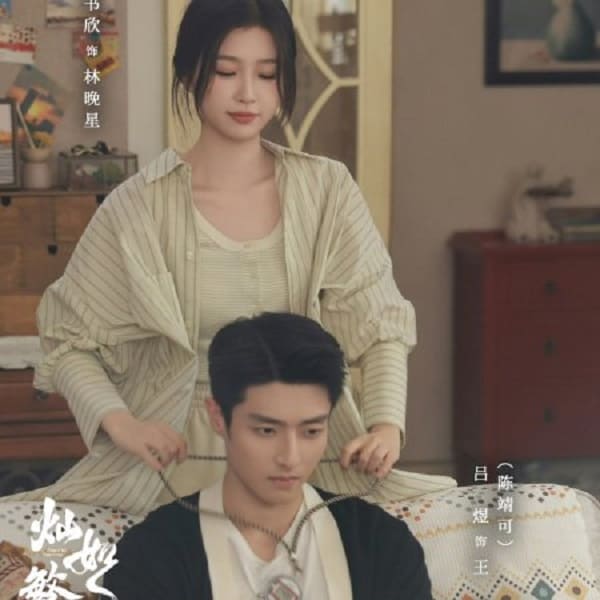 nonton streaming download drama china road to success sub indo viu