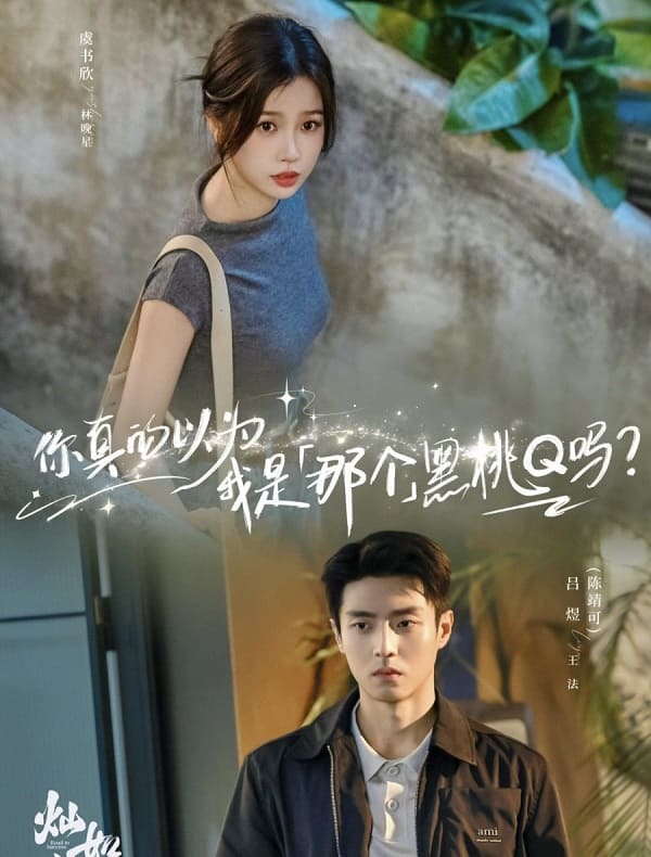 nonton streaming download drama china road to success sub indo viu