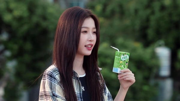 nonton streaming download drama china road to success sub indo viu