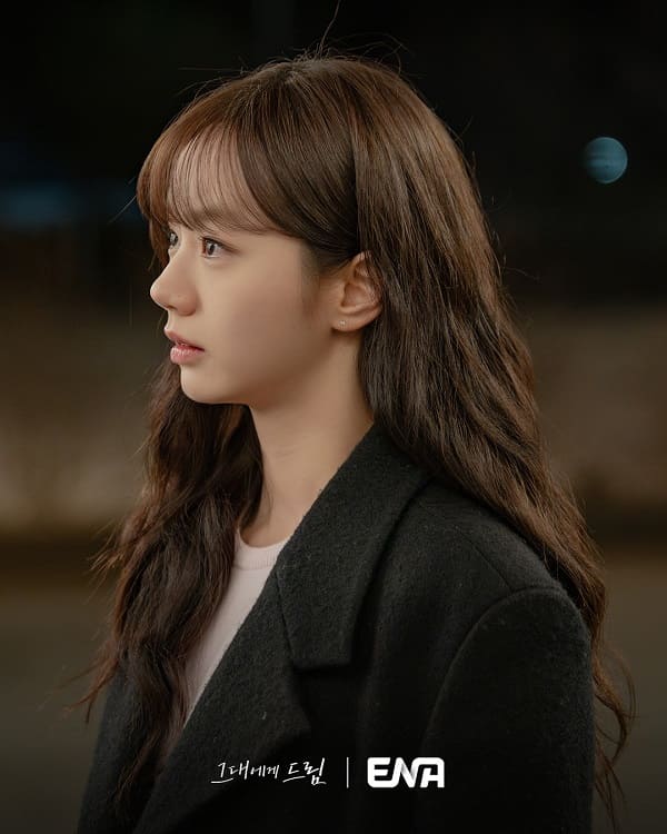 nonton streaming download drakorindo dream to you sub indo viu original