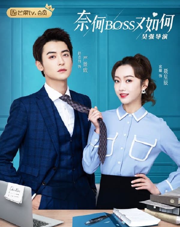 nonton streaming download drama china well domanated love sub indo viu