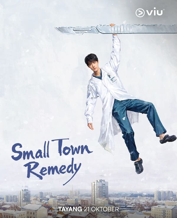 nonton streaming downoad drama china small town remedy sub indo viu