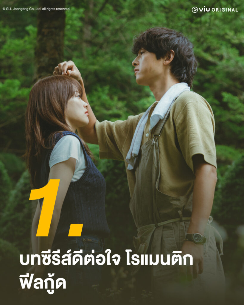 My Youth วัยเยาว์ของสองเรา