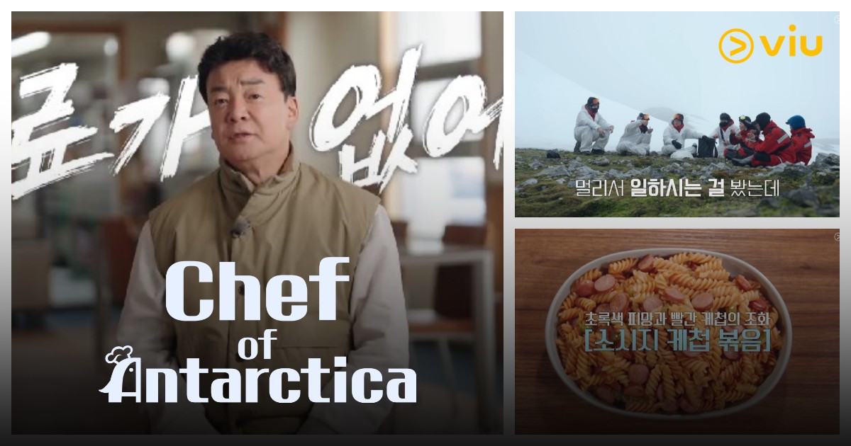 Chef of Antarctica