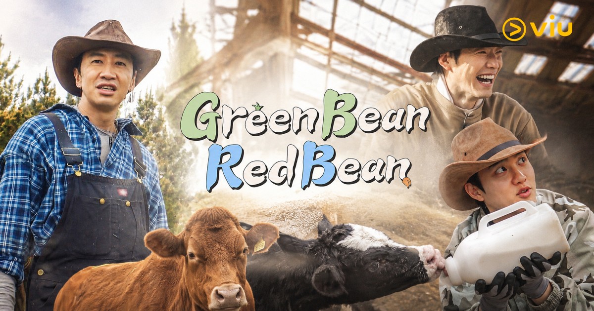 GBRB: Farm Operation – Go Go Farm จากทำสวนสู่ “ฟาร์มสเตย์” ของผู้บ่าวเลี้ยงวัว – เมื่อ 3 ซุปตาร์ต้องไปเลี้ยงวัวที่เจจู
