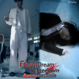 From Dream To Freedom)