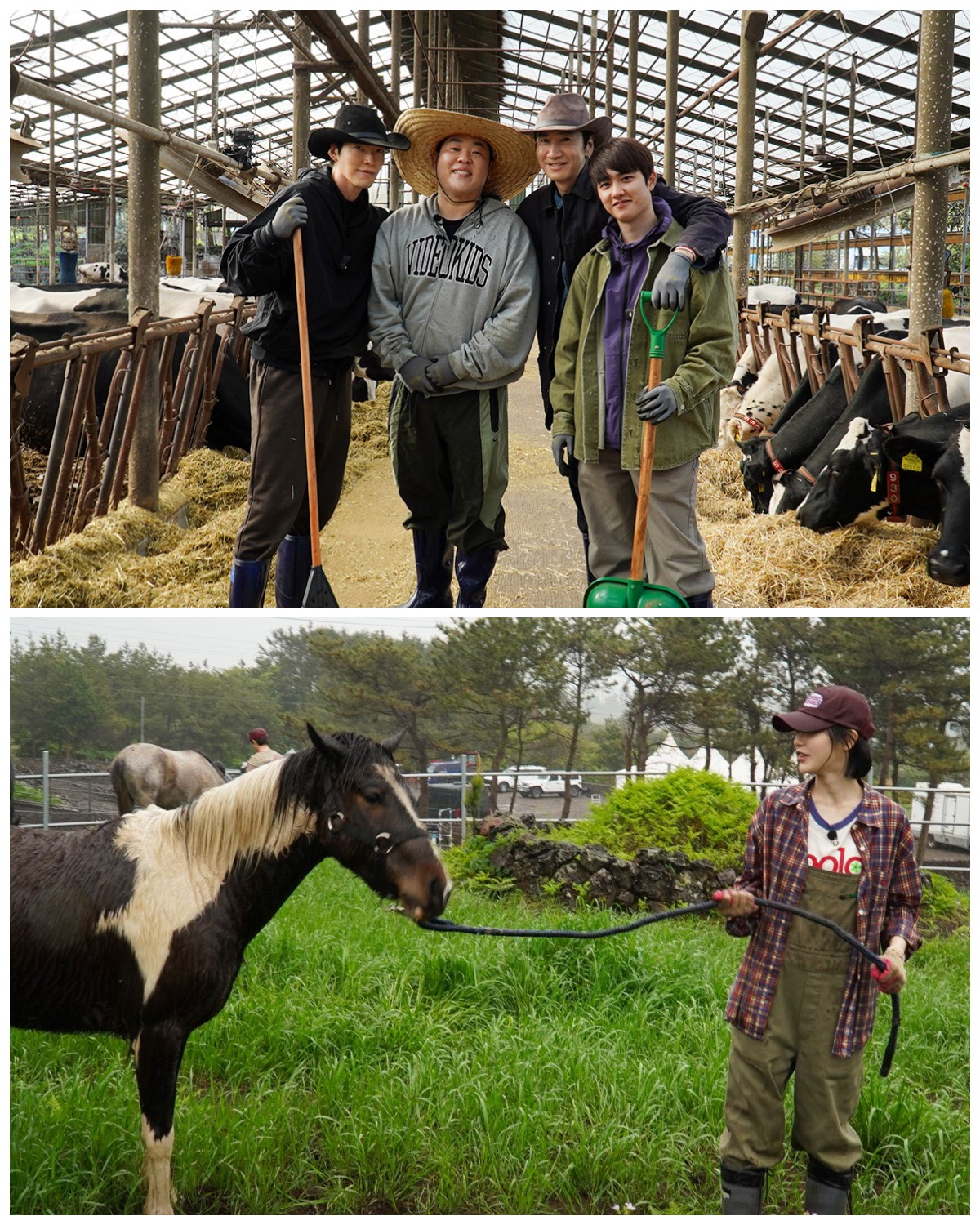 GBRB: Farm Operation - Go Go Farm