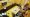 World of Street woman fighter 3 SWF SEASON 3 viu australia & new zealand world of street woman fighter 3 episode 6 trailer prediction spoilers Korean variety TV shows TV