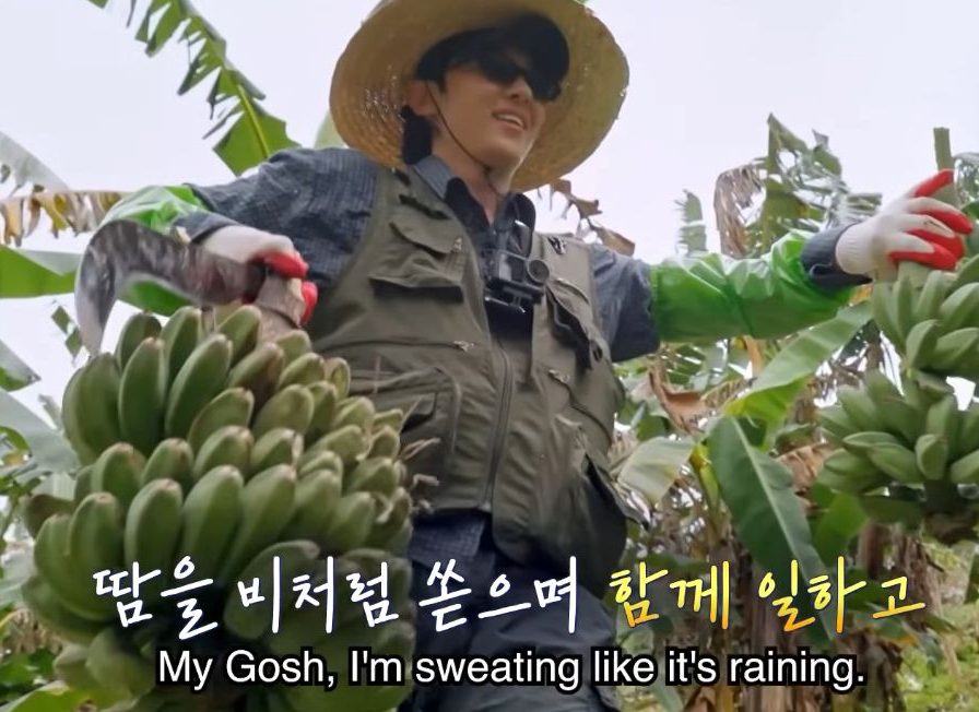 Kim Jin Young Dex 언니네산지직송 in 칼라페 Fresh off the Sea in Calape 姐姐的产地直送in卡拉佩 Fresh Releases CJ tvN Korean Variety Travel -4