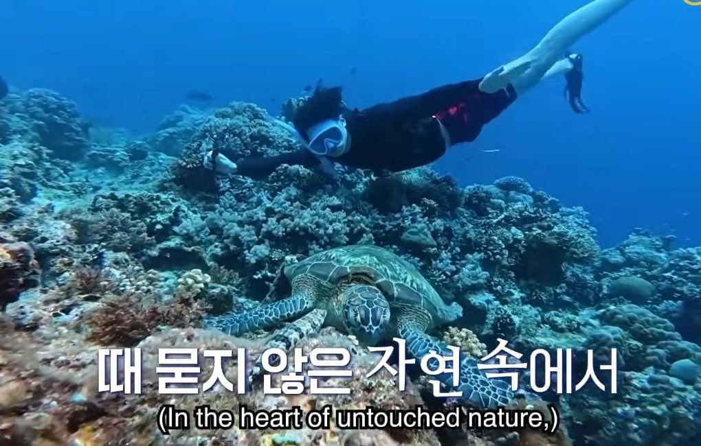 언니네산지직송 in 칼라페 Fresh off the Sea in Calape 姐姐的产地直送in卡拉佩 Fresh Releases CJ tvN Korean Variety Travel -2