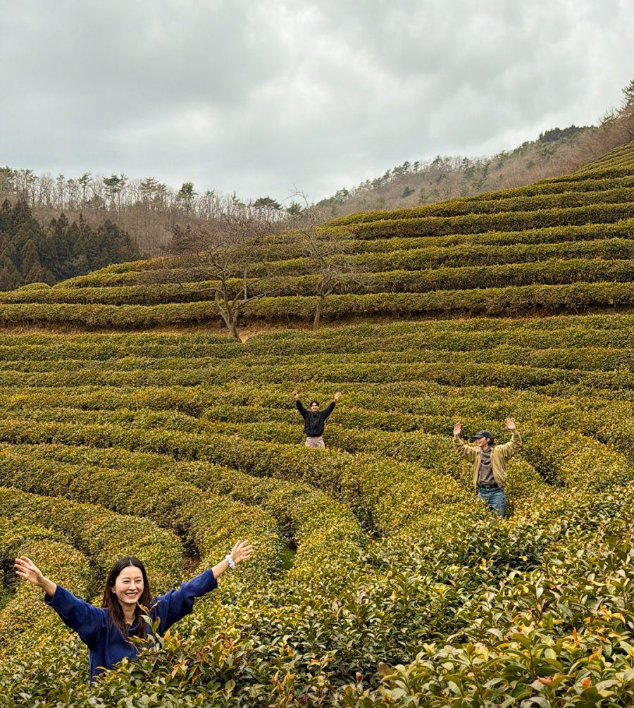 Unplanned Trip Limited Edition 꽃보다 청춘 리미티드 에디션 k variety show travel show adventure comedy korean reality show Jung Yu Mi Choi Woo Shik Park Seo Joon farm field