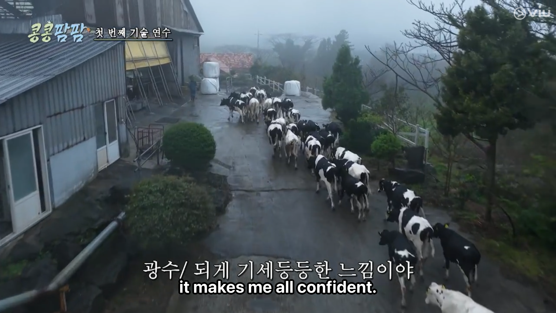 GBRB Farm Operation - Go Go Farm k variety shows viu australia new zealand 콩콩팜팜 种豆得豆 做Farm得Farm 动物农场 CJ Korean Variety Kim Woo Bin Lee Kwang Soo Doh Kyung Soo -3