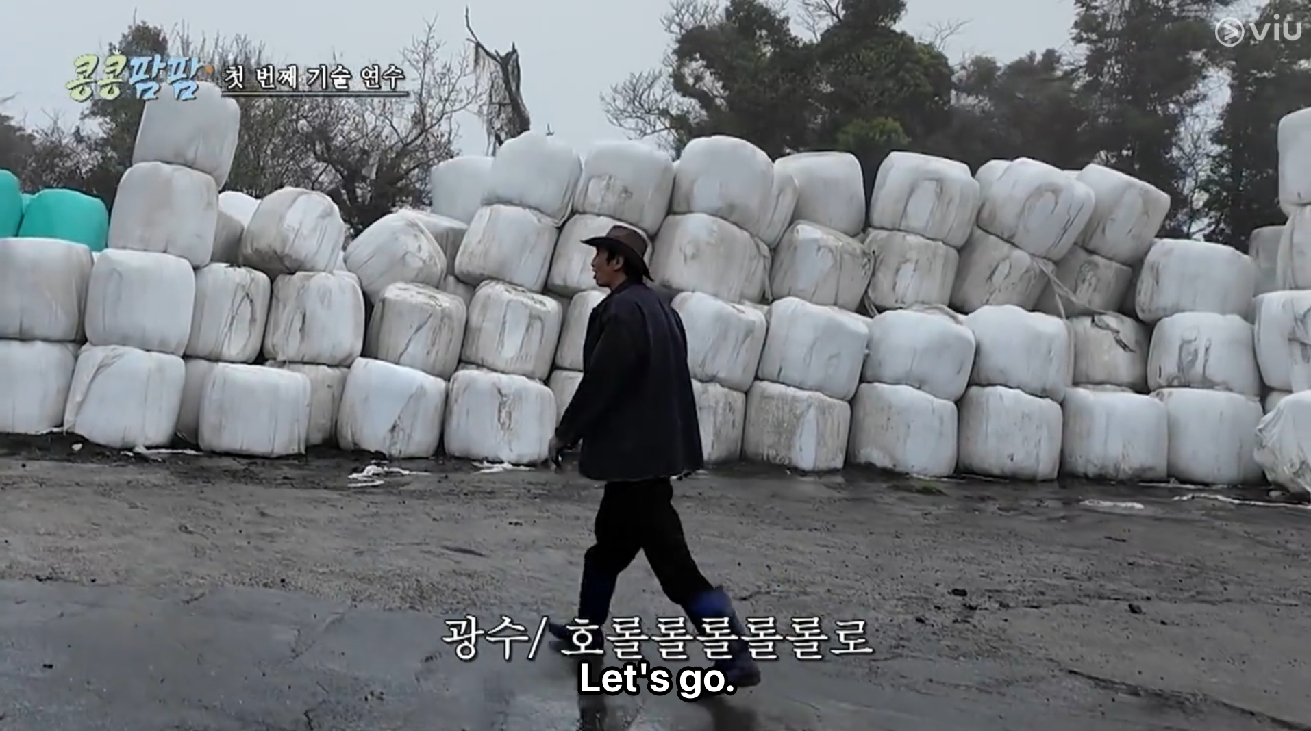 GBRB Farm Operation - Go Go Farm k variety shows viu australia new zealand 콩콩팜팜 种豆得豆 做Farm得Farm 动物农场 CJ Korean Variety Kim Woo Bin Lee Kwang Soo Doh Kyung Soo -5