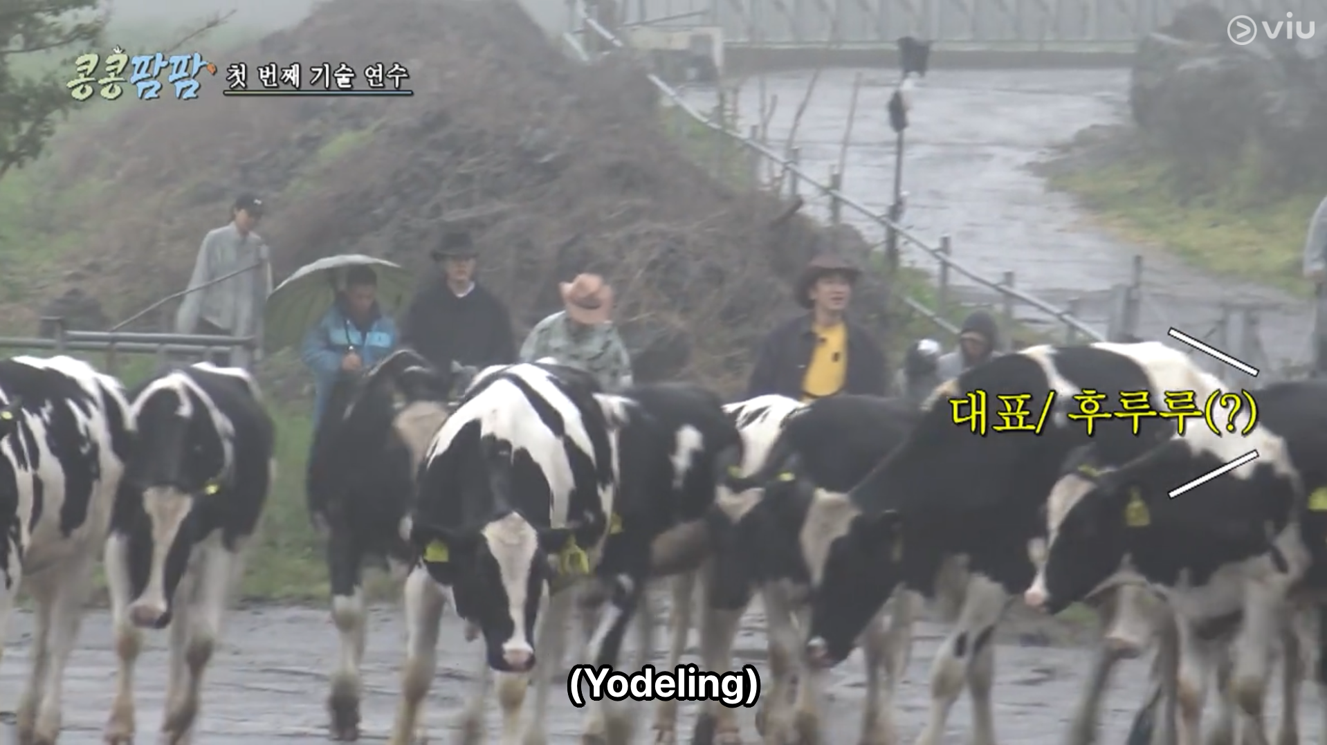 GBRB Farm Operation - Go Go Farm k variety shows viu australia new zealand 콩콩팜팜 种豆得豆 做Farm得Farm 动物农场 CJ Korean Variety Kim Woo Bin Lee Kwang Soo Doh Kyung Soo -6