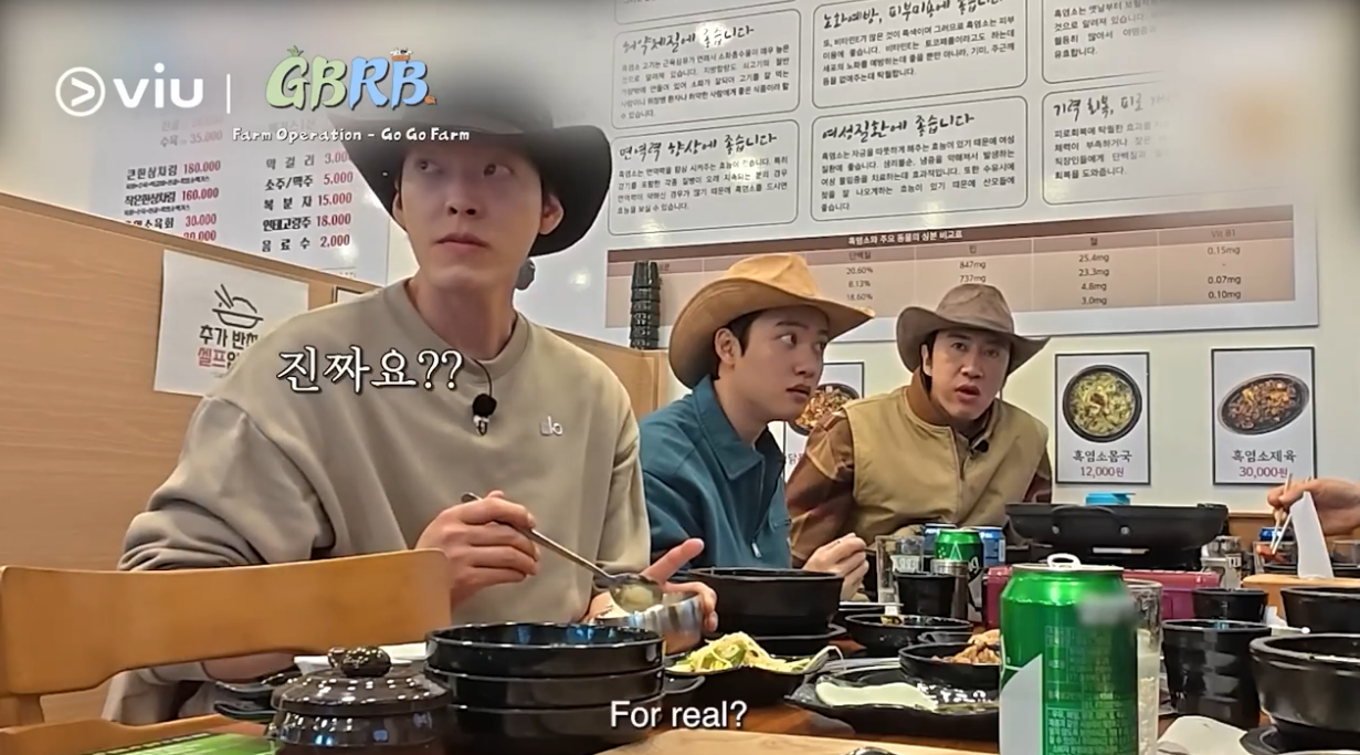 GBRB Farm Operation - Go Go Farm k variety shows viu australia new zealand 콩콩팜팜 种豆得豆 做Farm得Farm 动物农场 CJ Korean Variety Kim Woo Bin Lee Kwang Soo Doh Kyung Soo -7